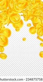 Monedas de rupias indias cayendo. Monedas de INR de oro dispersas. Dinero indio. El concepto de riqueza o éxito del bote. Ilustración vectorial.