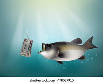 indian rupee money paper on fish hook, fishing using indian rupee cash as bait, India investment risk concept idea