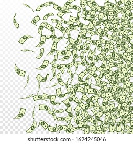 Indian rupee notes falling. Small INR bills on transparent background. India money. Captivating vector illustration. Delicate jackpot, wealth or success concept.
