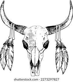 Indian skull with feathers, cow skull, animal skull with feathers, buffalo skull with feathers single on white background