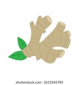 indian spice Ginger Root Fresh isolated