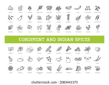 Indian spices. Condiment icons set. Outline set of condiment vector icons