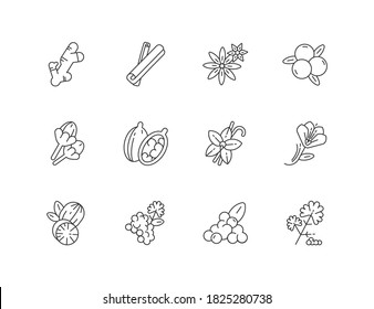 Indian spices linear icons set. Aromatic flavoring. Cinnamon and star anise. Coriander and black pepper. Asian seasonings. Customizable thin line contour symbols. Isolated vector outline illustrations