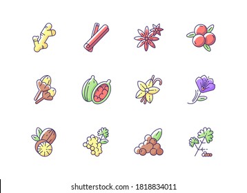 Indian spices RGB color icons set. Aromatic flavoring. Cinnamon and star anise. Coriander and black pepper. Asian seasonings. Traditional indian spices. Isolated vector illustrations