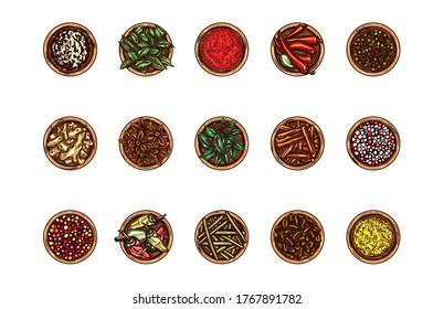 Indian Spices vector illustration isolated on white background