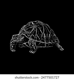 Vector de dibujo a mano de tortuga estrella india aislado sobre fondo negro.