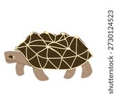 Indian star tortoise isolated on white background. Cartoon vector turtle illustration. Geochelone elegans in children style.