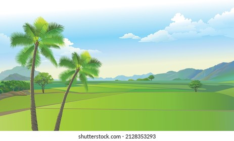 Indian village farming area large green cultivation land rural India agricultural land with coconut tree and mountain. green crops