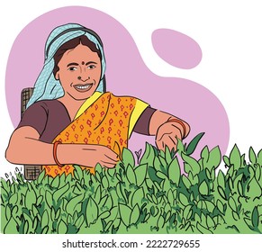 indian Woman character cutting and picking up tea leaves. plucking tea leaves from tea field. darjeeling. happy indian women