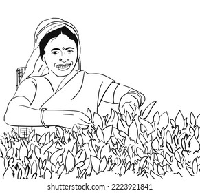 indian Woman character cutting and picking up tea leaves. plucking tea leaves from tea field. darjeeling. happy indian women