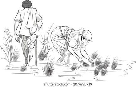 Indian woman farming in the water field, A farmer walking on his crop land, Vector illustration of poor people