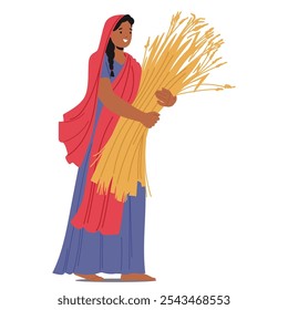 Indian Woman In Traditional Attire Holds A Bundle Of Harvested Wheat Stalks, Representing Agricultural Labor, Rural Lifestyle, And The Harvest Season, Symbolizing Dedication And Cultural Heritage