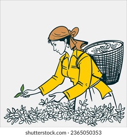 Indian Women Plucking Tea Leaves Hand-drawn line art illustration 