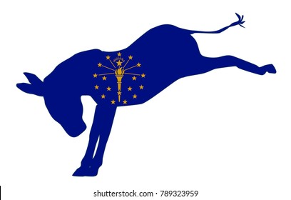 The Indiana Democrat Party Donkey Flag Over A White Background