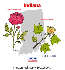 Indiana. Set of USA official state symbols. Vector hand drawn illustration