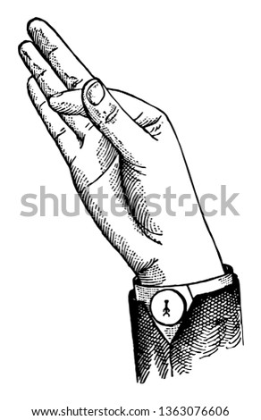 Indicated Low Wide Top Glide combining the characteristics of certain central aperature consonants with the wide or expanded quality of vowels, vintage line drawing or engraving illustration.