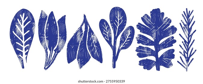 Indigo blue linocut herb leaf vector set. Vintage woodcut botanical collection with crosshatch texture. Hand drawn rosemary, mint and basil sprigs for kitchen decor, spice branding and organic design