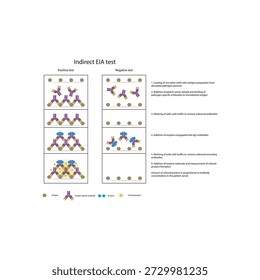 Indirect EIA (ELISA) test diagram illustrating antibody detection, enzyme-linked secondary antibodies, colorimetric signal, and quantitative immune response diagram