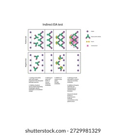 Indirect EIA (ELISA) test diagram illustrating antibody detection, enzyme-linked secondary antibodies, colorimetric signal, and quantitative immune response diagram