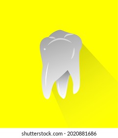 The individual tooth is its vector design model