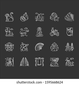 Indonesia chalk icons set. Tropical country animals. Trip to Indonesian islands. Exploring exotic culture. Unique plants. Nature and architecture wonders. Isolated vector chalkboard illustrations