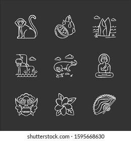 Indonesia chalk icons set. Tropical country animals. Trip to Indonesian islands. Exploring exotic culture. Unique fruit, plant. Nature wonders and waterfalls. Isolated vector chalkboard illustrations