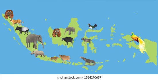 Indonesia  fauna and wild life animal map - Vector