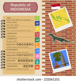 Indonesia  infographics, statistical data, sights. Vector illustration