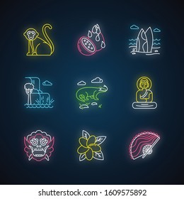 Indonesia neon light icons set. Tropical country animals. Trip to Indonesian islands. Exploring exotic culture. Unique fruit, plant. Nature wonders. Glowing signs. Vector isolated illustrations