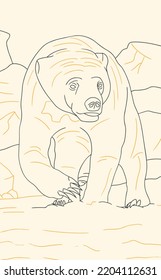 Indonesian Animal - Beruang Madu - Line Art
