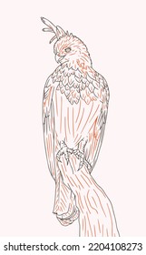 Indonesian Animal - Elang Jawa - Line Art