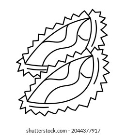 Indonesian Doodle isolated on white background. Durian outline