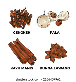 Indonesian spices. Cinnamon, nutmeg, cloves, star anise. vector illustration sets. isolated background