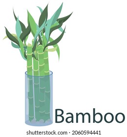 indoor bamboo, houseplant, flower in a pot - vector illustration, vector element in flat style