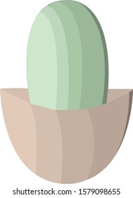 The indoor cactus in brown pot