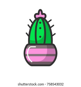 Indoor cactus with pink blossom in glossy pot