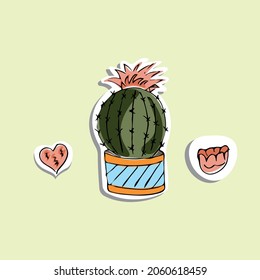 Indoor cactus in a pot. Cactus isolated. Sticker. Cartoon style. EPS 10