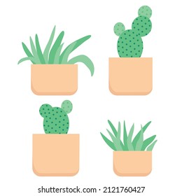 Indoor cactus and succulents in pots vector illustration set.