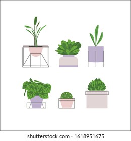 Indoor cute plants in different pots flat vector set (part 1)