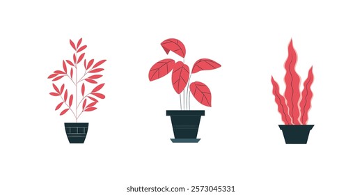 Indoor exotic flowers with stems and leaves. Monstera, ficus, pothos, yucca, dracaena, cacti, snake plant for home and interior
Exotic Indoor Flowers with Stems and Leaves for Home Decor Featuring