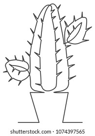 Indoor flower cactus painted in one line style
