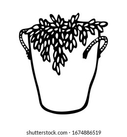 INDOOR FLOWER ON A WHITE BACKGROUND IN VECTOR