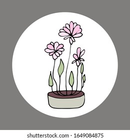 flor interior en una olla. Ilustración de material vectorial a mano. fondo blanco aislado. pegatina, icono. flores para el interior, batanika. lirio flor de casa, loto