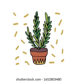 indoor flower in a pot. Hand-drawn vector stock illustration. white isolated background. sticker, icon. flowers for the interior, batanika. home flower cactus, succulent