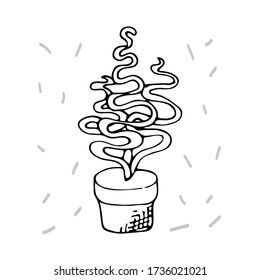 flor interior en una olla. Ilustración de material vectorial a mano. fondo blanco aislado. pegatina, icono. flores para el interior, batanika. albúca espiral de flores del hogar, succulento, cactus, trachander