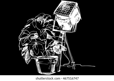  indoor flower in a pot near the theater spotlight