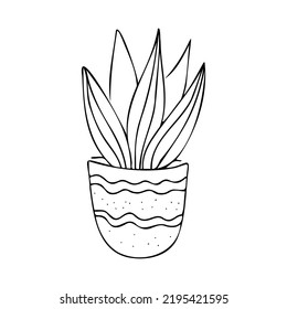 Indoor flower vector outline icon, hand drawn. Decorative drawing of a house plant in a pot for print, web and infographics on a white background.