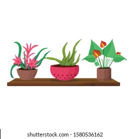 indoor flowers in a flower pot vector illustration