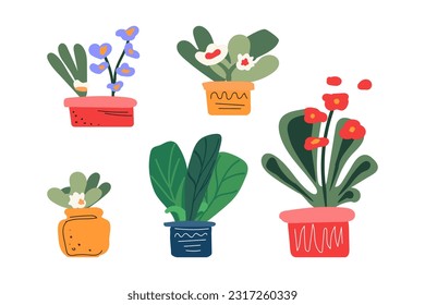 Indoor flowers with for a hobby hand drawn in unique style. Clipart illustration  houseplants for poster made in flat style vector.
