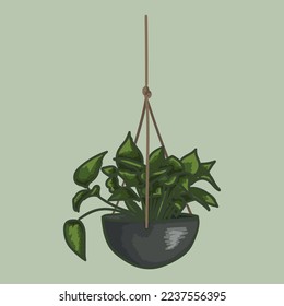 Indoor flowers in a pot are made in vector graphics